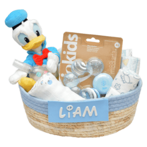 Cesta para bebé Disney friends